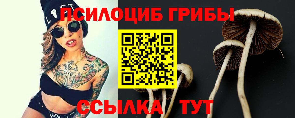 Галлюциногенные грибы MAGIC MUSHROOMS Уссурийск